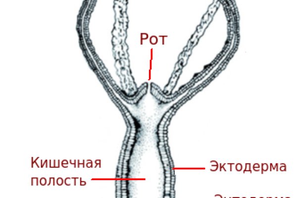 Кракен дарк сайт