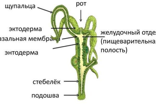 Ссылка кракен kraken torion net